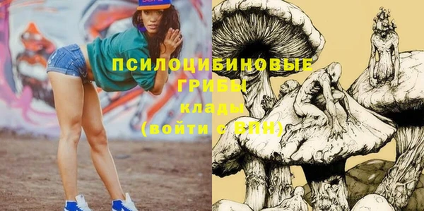 ГАЛЛЮЦИНОГЕННЫЕ ГРИБЫ Абинск