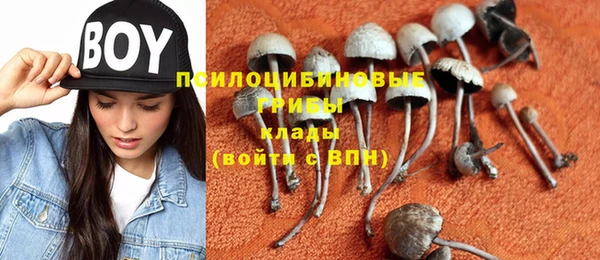марки nbome Абаза