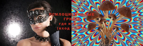 ГАЛЛЮЦИНОГЕННЫЕ ГРИБЫ Абинск