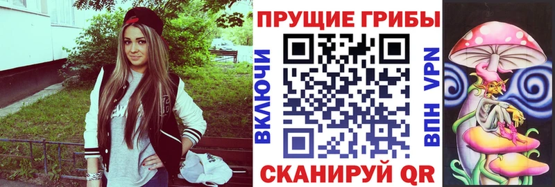 Галлюциногенные грибы прущие грибы  Тында 