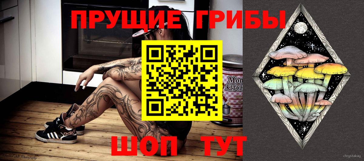 Галлюциногенные грибы Cubensis Тында