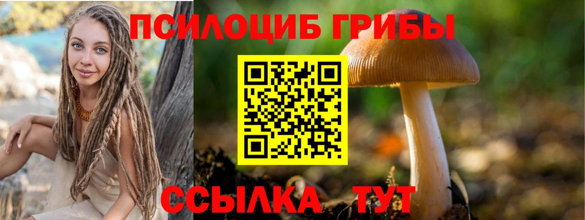 Галлюциногенные грибы мухоморы  Вход с VPN  Галлюциногенные грибы мухоморы  Тында 